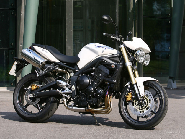 Обои картинки фото мотоциклы, triumph