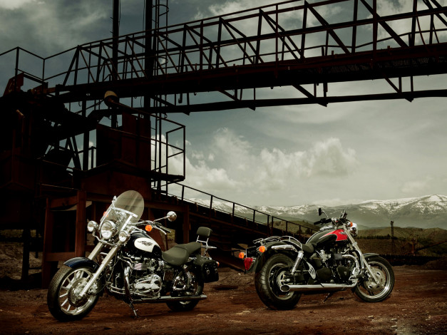 Обои картинки фото мотоциклы, triumph