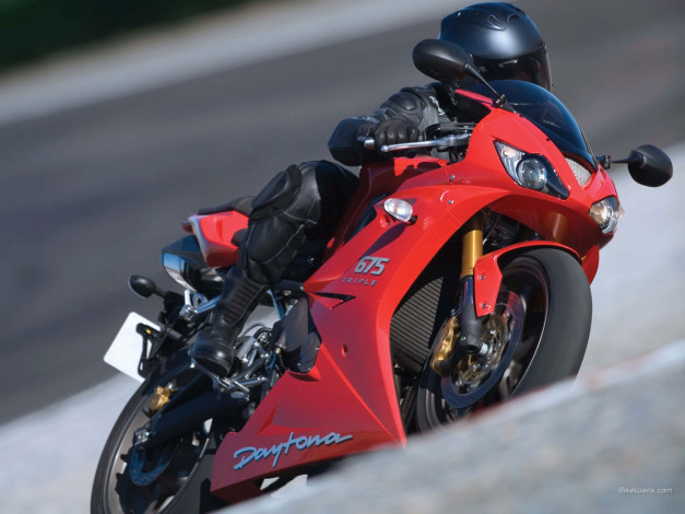 Обои картинки фото мотоциклы, triumph