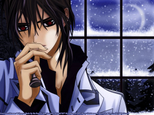 Картинка аниме vampire knight