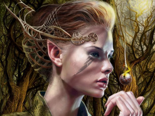 Картинка фэнтези эльфы