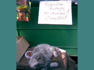 Картинка юмор приколы