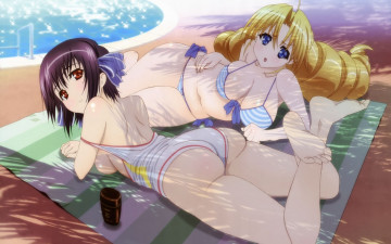 Картинка аниме ladies versus butlers