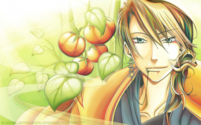 Обои картинки фото amatsuki, аниме