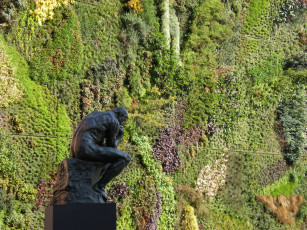 Картинка города памятники скульптуры арт объекты мыслитель