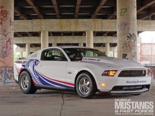 Картинка автомобили hotrod dragster mustang