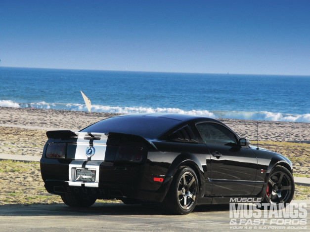 Обои картинки фото автомобили, mustang