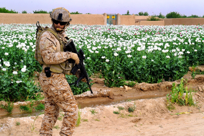 Обои картинки фото оружие, армия, спецназ, солдат