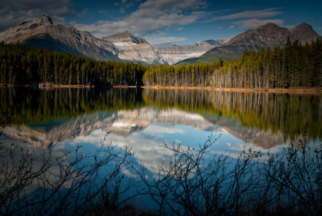 Обои картинки фото природа, реки, озера, лес, канада, озеро, горы, отражение, кусты