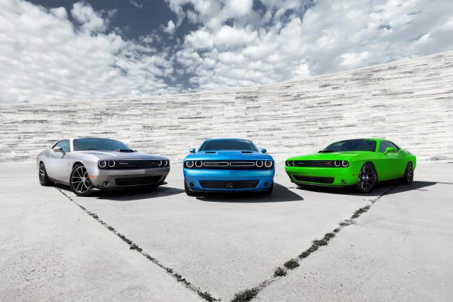Обои картинки фото автомобили, dodge, challenger