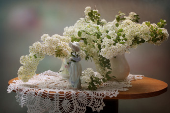 Картинка цветы цветущие+деревья+ +кустарники девочка статуэтка спирея