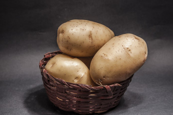 Картинка еда картофель