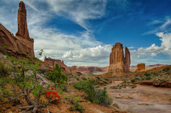 Картинка природа горы скалы растительность