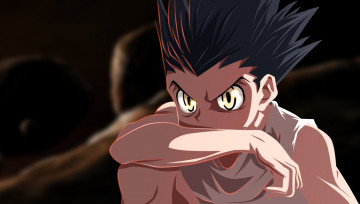 Картинка аниме hunter+x+hunter гон фрикс