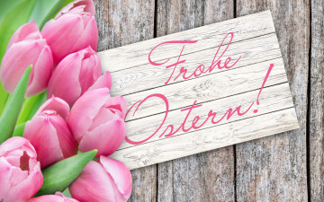 Картинка цветы тюльпаны