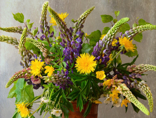 Обои картинки фото цветы, букеты,  композиции, букет, лето, полевые, люпин