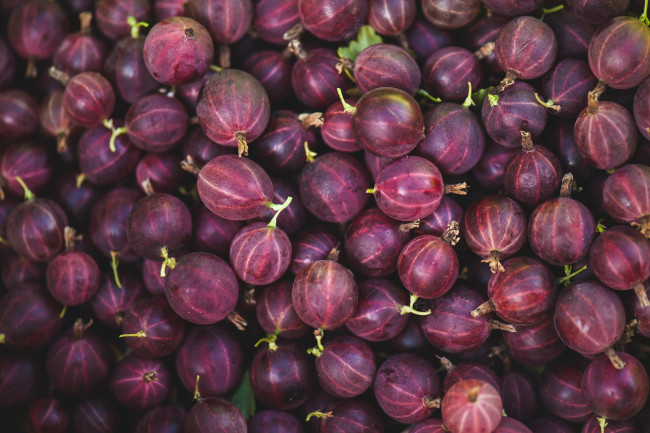 Обои картинки фото еда, крыжовник, ягоды, макро