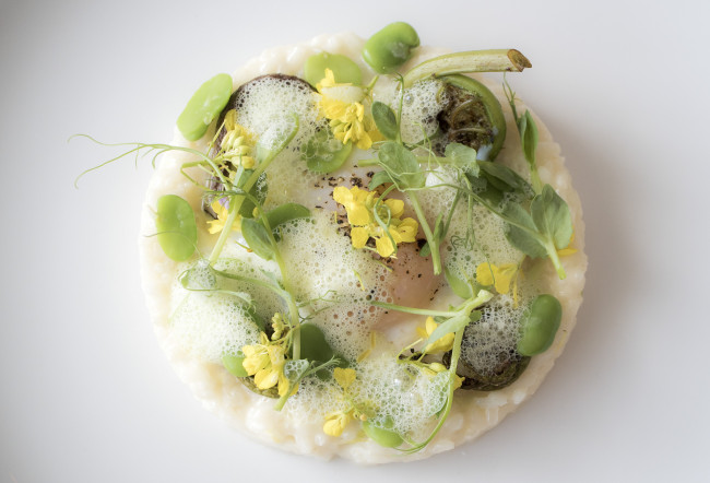 Обои картинки фото еда, салаты,  закуски, суп