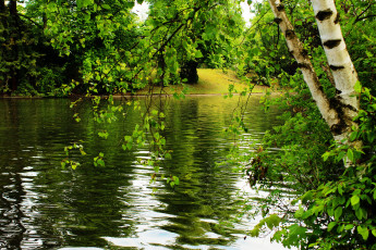 Картинка природа реки озера река лес