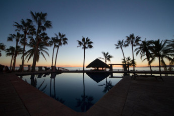 Картинка природа тропики вода пальма