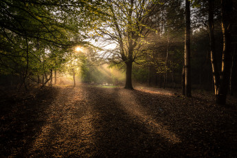 Картинка природа восходы закаты рассвет