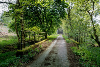 Картинка природа дороги тракт