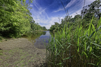 Картинка природа реки озера лес река