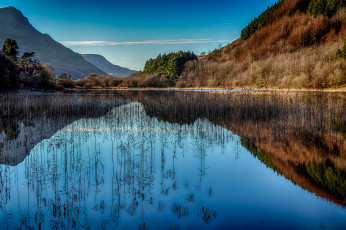 Картинка природа реки озера лес река