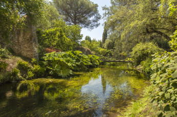 Картинка природа реки озера река лес