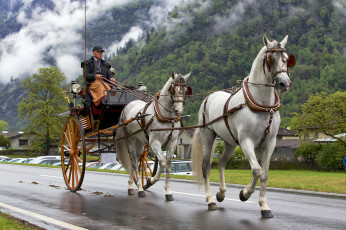 Картинка разное транспортные+средства+и+магистрали двуколка