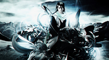 Картинка аниме bleach бьякуя
