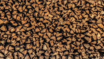 Картинка разное текстуры дрова