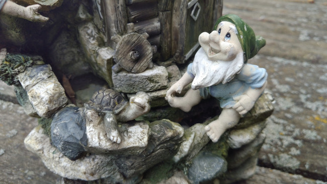 Обои картинки фото разное, садовые и парковые скульптуры, черепаха, гном