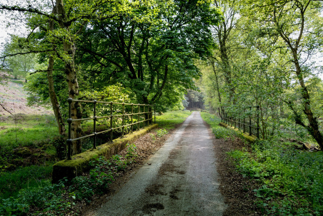 Обои картинки фото природа, дороги, тракт