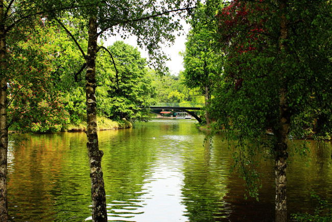 Обои картинки фото природа, реки, озера, река, лес