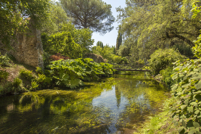 Обои картинки фото природа, реки, озера, река, лес