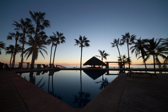 Обои картинки фото природа, тропики, вода, пальма