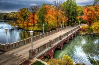 Картинка природа дороги простор