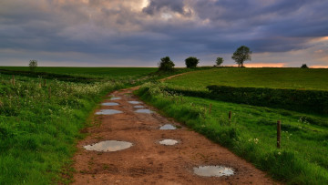 Картинка природа дороги лужи дорога