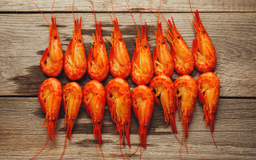 Картинка еда рыба +морепродукты +суши +роллы креветки