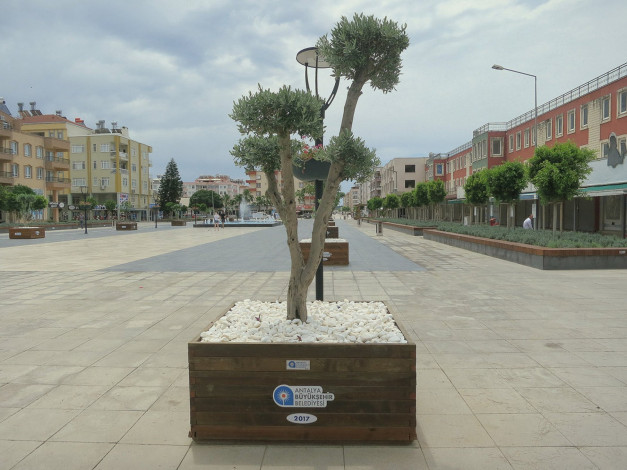 Обои картинки фото города, - улицы,  площади,  набережные, деревья, улица, город