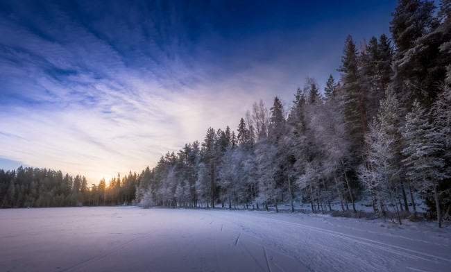 Обои картинки фото природа, зима, простор