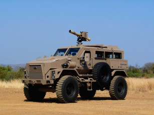 обоя техника, военная техника, dcd, mountain, lion, military