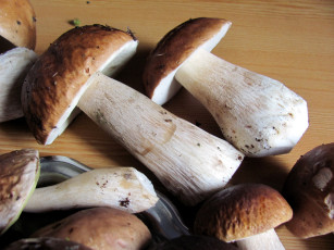 Картинка еда грибы +грибные+блюда боровики