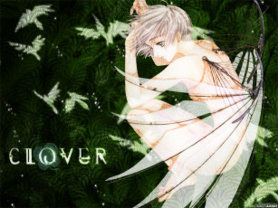 Картинка аниме clover