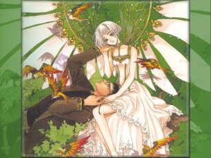 Картинка аниме clover