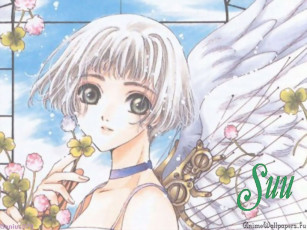 Картинка аниме clover