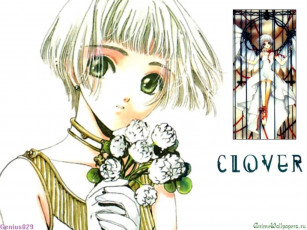 Картинка аниме clover