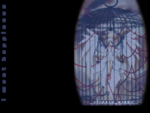 Картинка аниме clover