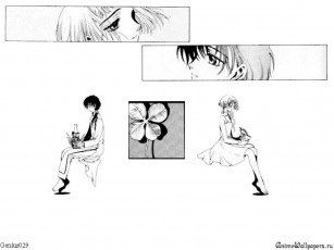 Картинка аниме clover